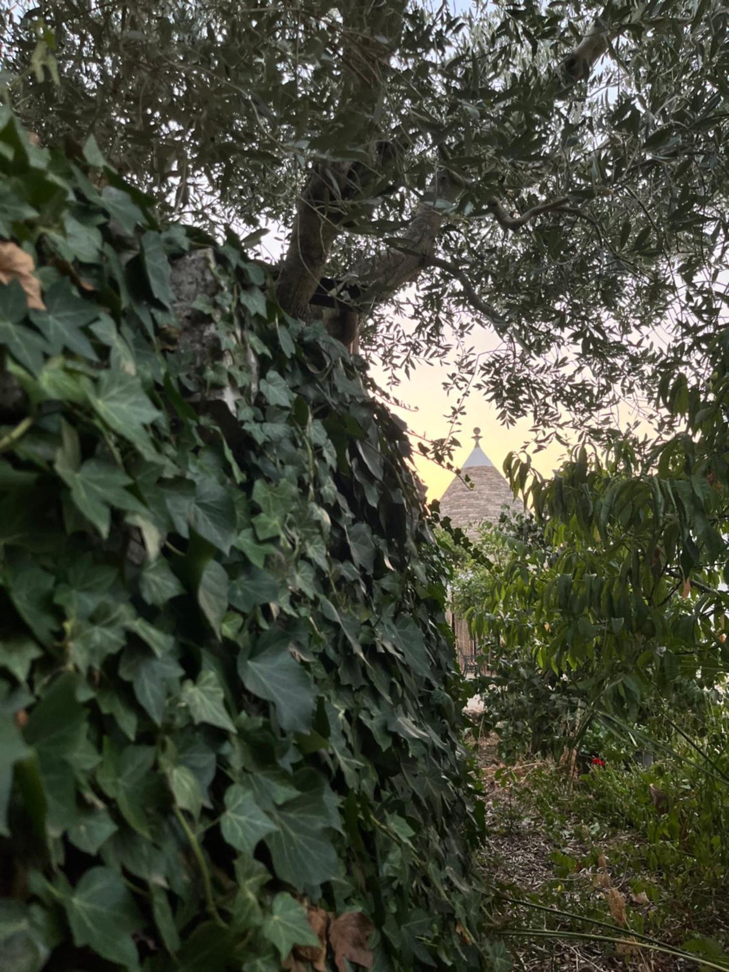 Borgo Miceli Da Giovanni Locorotondo Kültér fotó