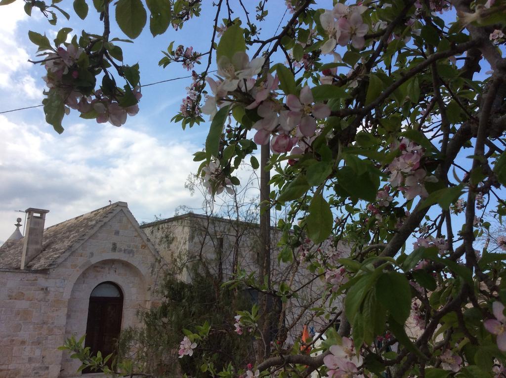 Borgo Miceli Da Giovanni Locorotondo Kültér fotó